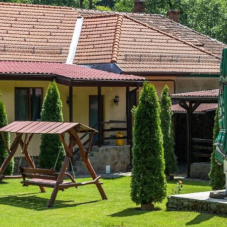 Casa Alex Văliug Exterior foto