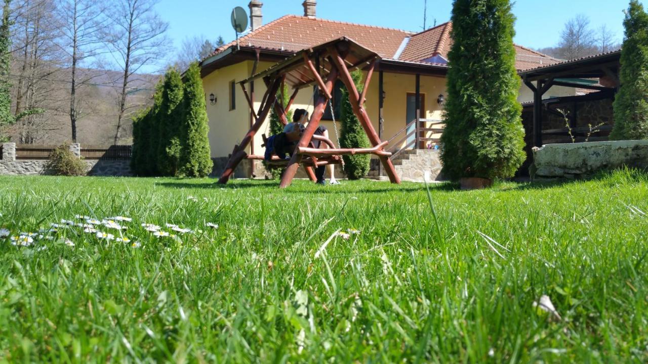 Casa Alex Văliug Exterior foto